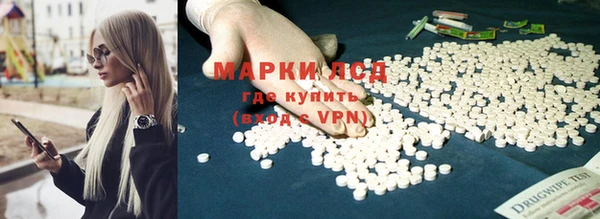 стафф Богородицк